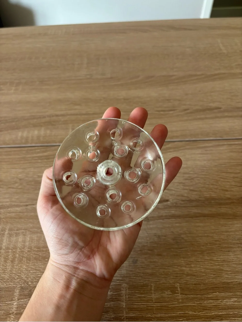 Clear Glass Flower Frog Frogmonger - Circular Multi-hole Flower Arranger